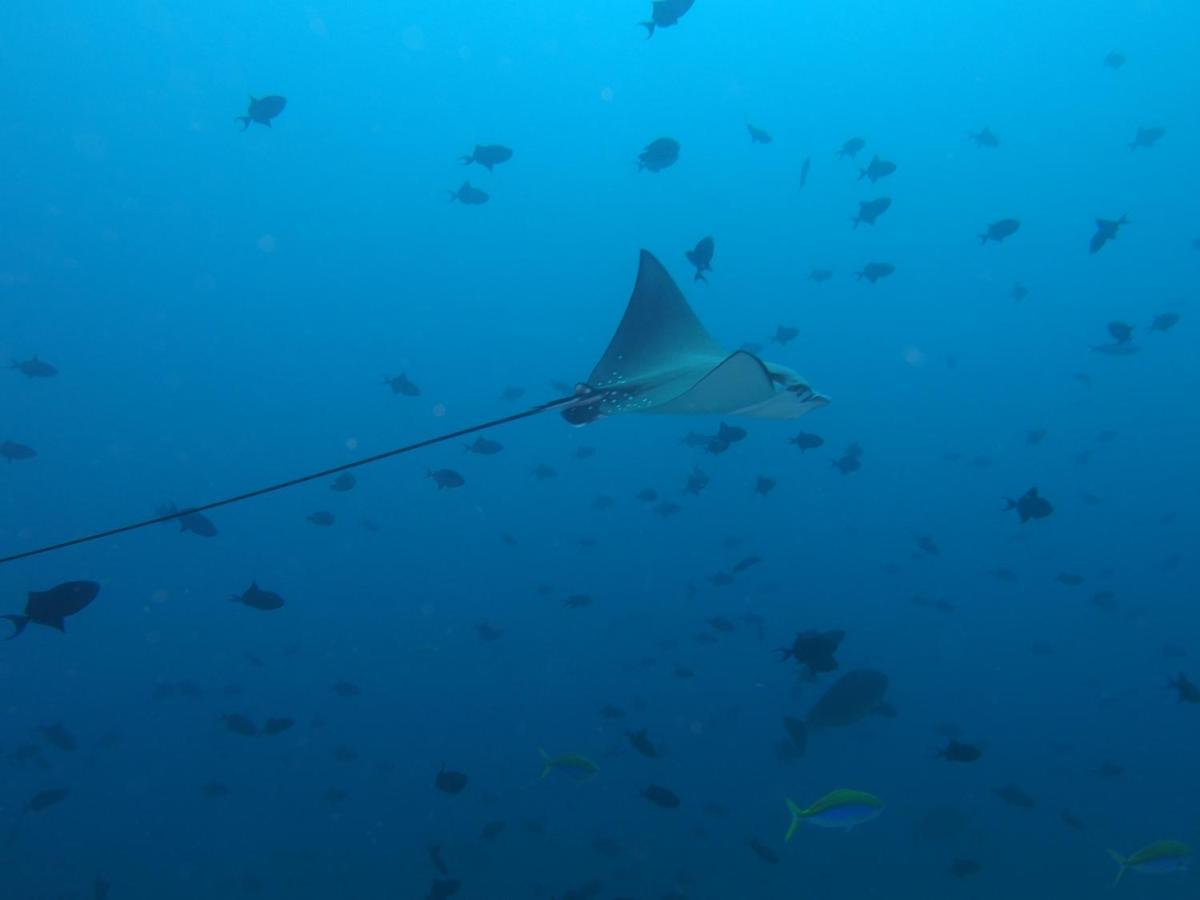 Leaf Fish Guesthouse Maldives Keyodhoo  Buitenkant foto
