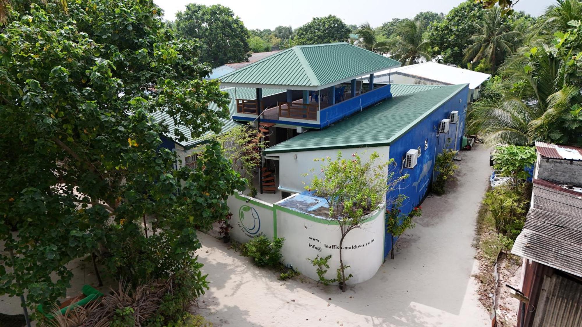 Leaf Fish Guesthouse Maldives Keyodhoo  Buitenkant foto